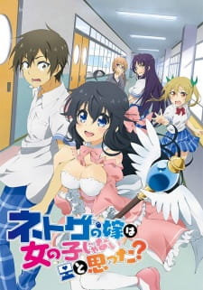 انمي Netoge no Yome wa Onnanoko ja Nai to Omotta? مترجم اون لاين