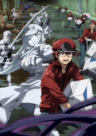 انمي Hataraku Saibou Black (TV) مترجم اون لاين